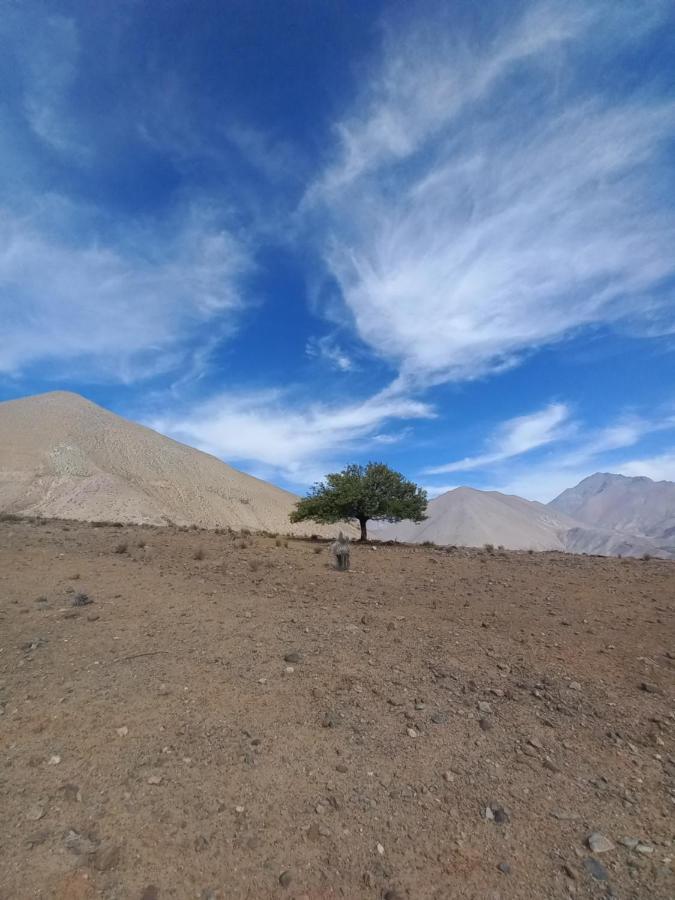 Campo De Cielo Mamalluca Valle De Elqui Vicuna Luaran gambar
